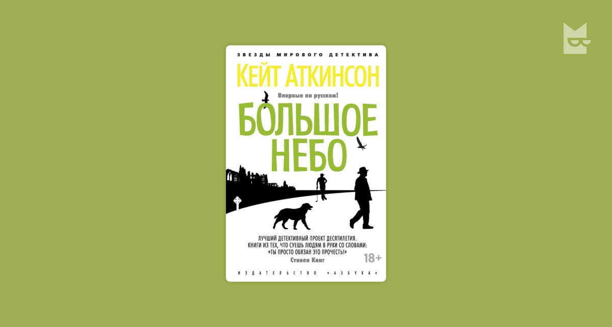 Читать аткинсон сила. Джексон Броуди Кейт Аткинсон. Музей моих тайн Кейт Аткинсон. Аткинсон Кейт "большое небо". Кейт Аткинсон книги.