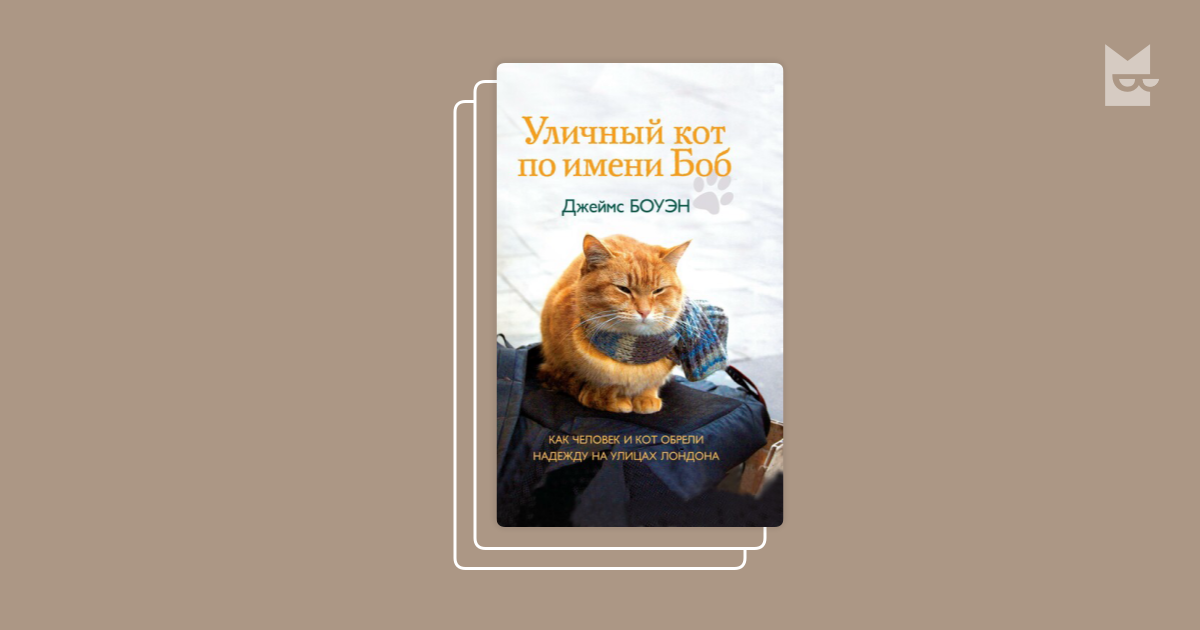 Кот по имени боб читать. Джеймс боуэн уличный кот по имени боб обложка. кот боб и джеймс боуэн книга. боуэн уличный кот по имени боб книга. кот по имени боб боуэн д. боуэн д...