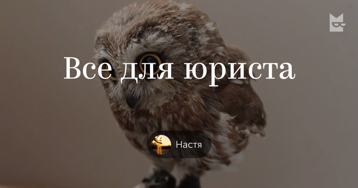 Книги «Все для юриста», Настя — Что почитать — полка Яндекс Книги
